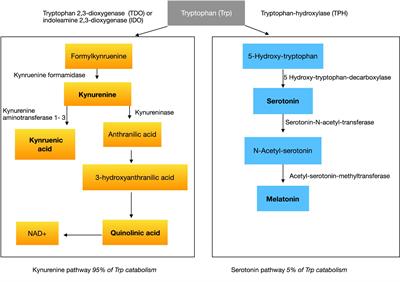 The Generalized Adaptation Account of Autism